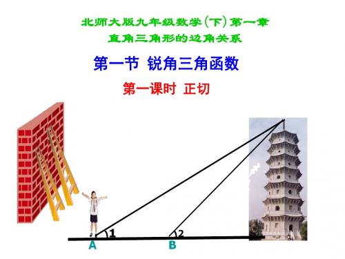 1.1.1北师大版九年级数学下册课件第一章第一节锐角三角函数第一课时正切