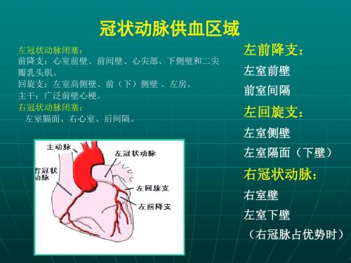 冠状动脉供血区域