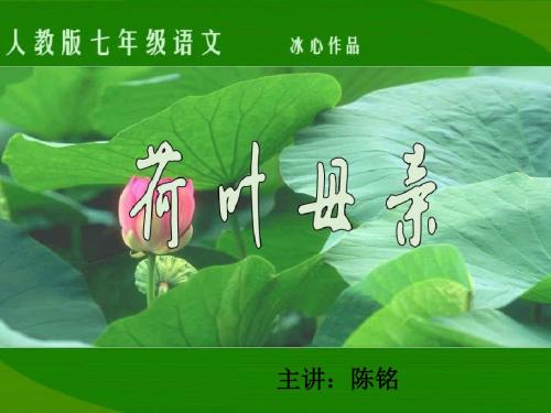 荷叶·母亲PPT课件47 人教版1 (共12张PPT)