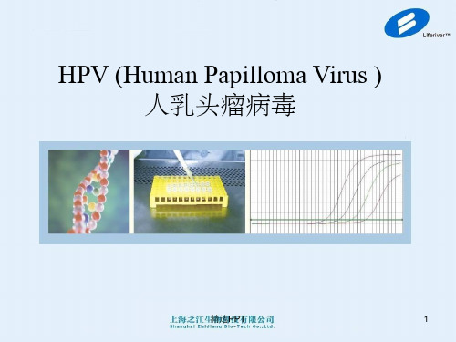 《HPV之江生物》PPT课件