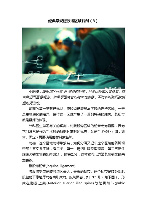 经典常规腹股沟区域解剖（3）