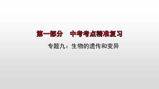 2023年中考生物全考点精讲课件--  遗传和变异