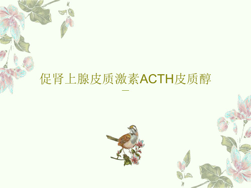 促肾上腺皮质激素ACTH皮质醇PPT共44页