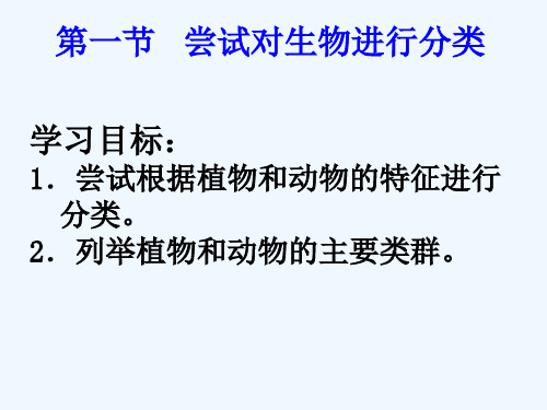 生物人教版八年级上册第六单元第一章第一节 尝试对生物进行分类