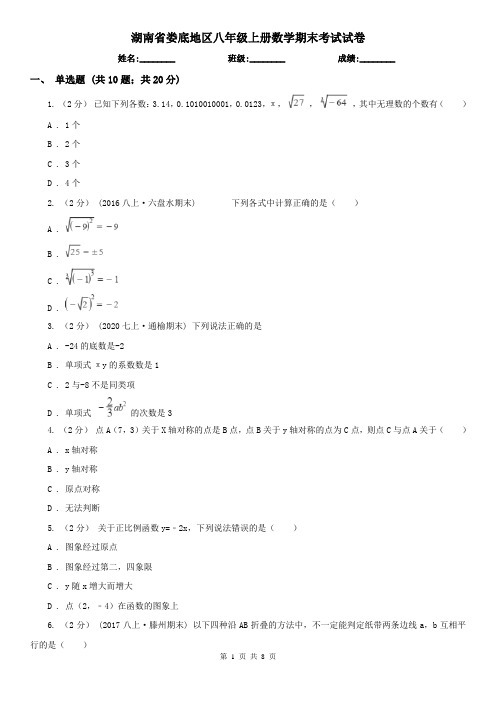 湖南省娄底地区八年级上册数学期末考试试卷