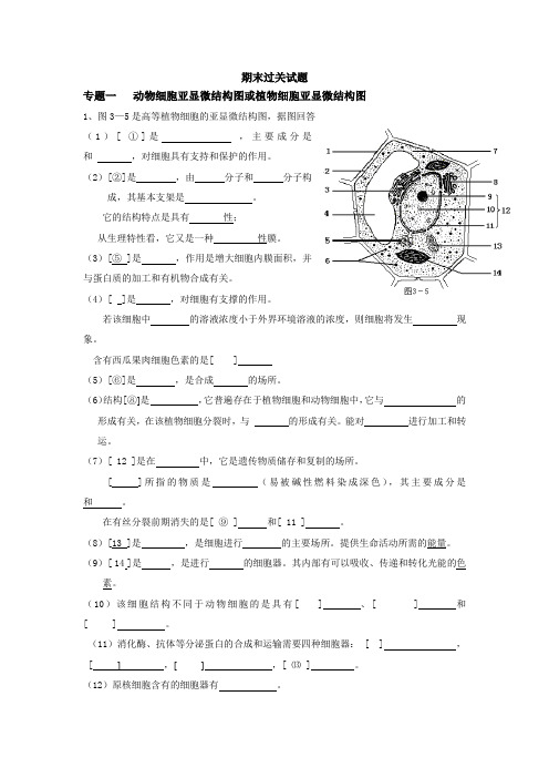 专题一 动物细胞亚显微结构图或植物细胞亚显微结构图汇总