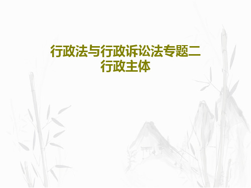 行政法与行政诉讼法专题二 行政主体共18页文档