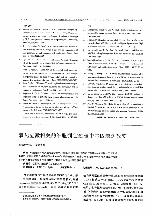 氧化应激相关的细胞凋亡过程中基因表达改变