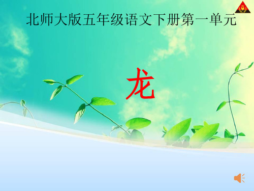 叶公好龙(用)