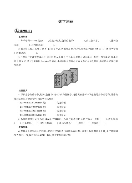 西师版数学四年级上册数字编码课时练同步作业习题