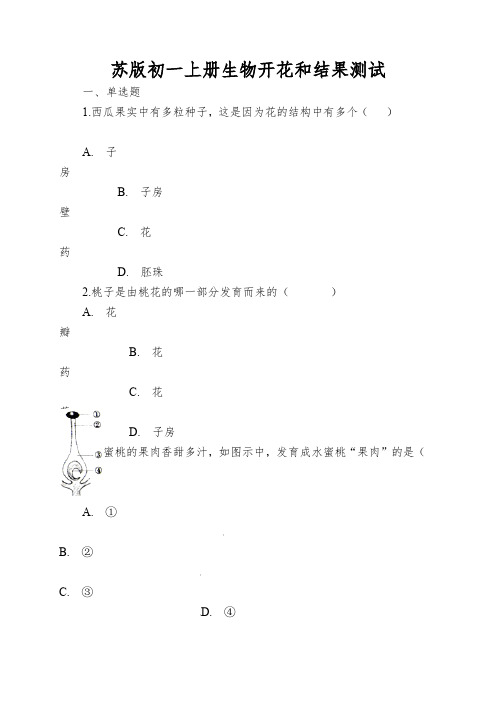 苏版初一上册生物开花和结果测试