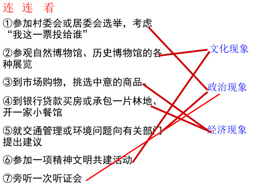 《文化与政治经济共张ppt