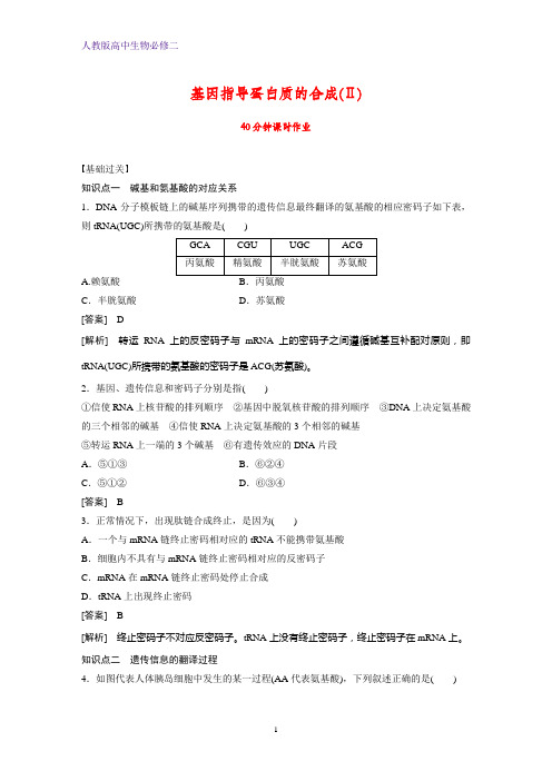 人教版(新教材)高中生物必修2练习3：4 1基因指导蛋白质的合成(Ⅱ)课时作业