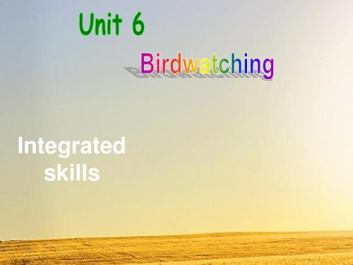 牛津译林版英语8A Unit6 Birdwatching Integrated skills课件(20张PPT)