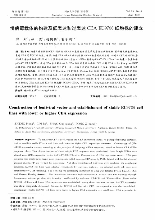 慢病毒载体的构建及低表达和过表达CEA EC9706细胞株的建立