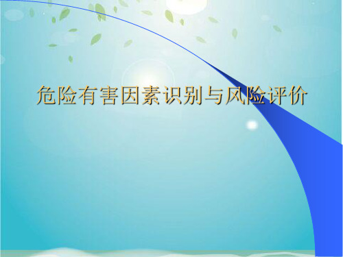 危险有害因素识别与风险评价