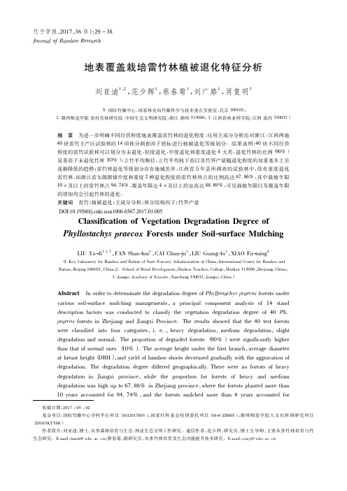 地表覆盖栽培雷竹林植被退化特征分析