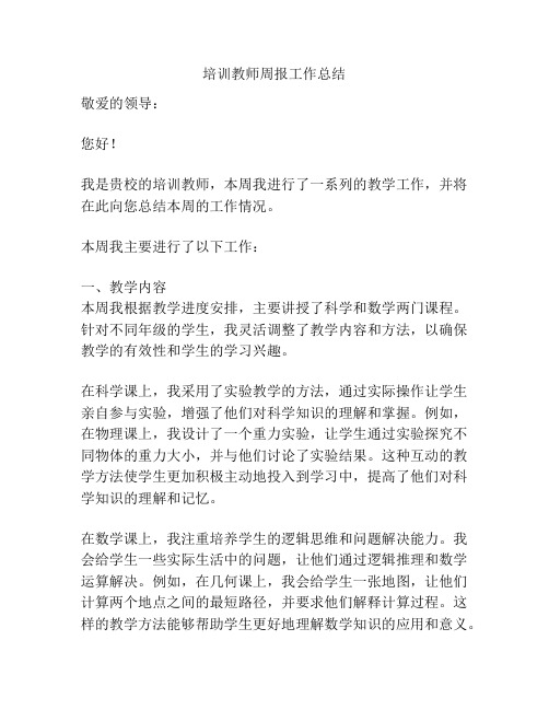 培训教师周报工作总结