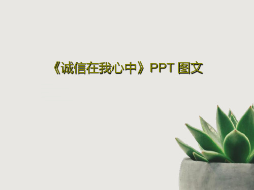 《诚信在我心中》PPT 图文共30页