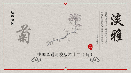 新版中国风四君子之菊