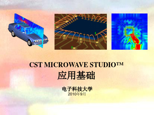 CST  MWS应用基础