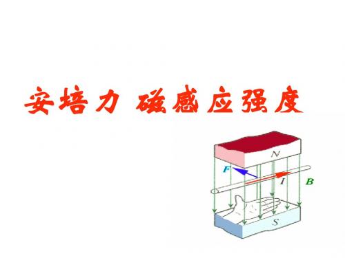 高二物理安培力和磁感应强度