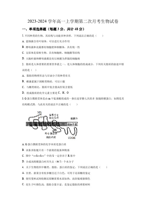 泾川一中高一年级第一学期(秋季)第二次月考生物试题+参考答案(系列3)