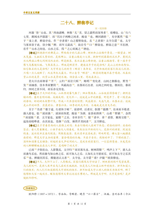 中考文言文详细注解系列28：醉翁亭记