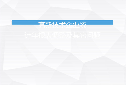 2018年火炬统计年报表培训课件