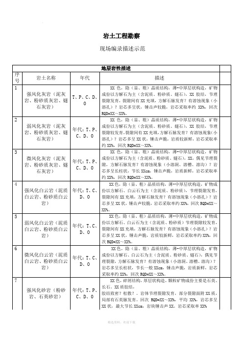 岩土工程勘察现场编录描述示范