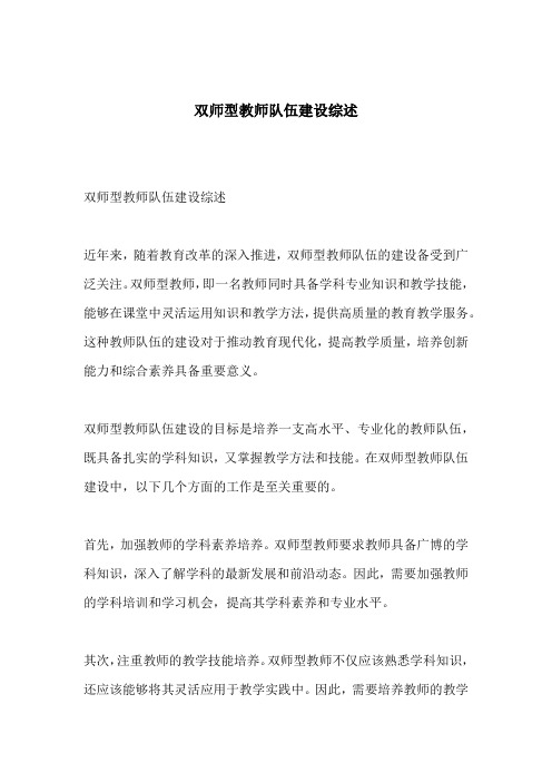 双师型教师队伍建设综述