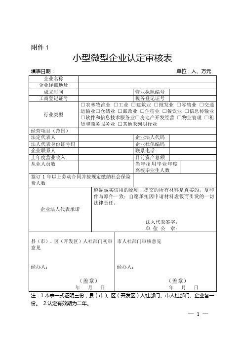 小型微型企业认定审核表