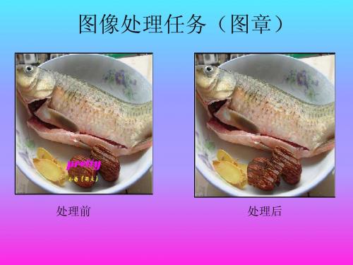 海产品资料搜集