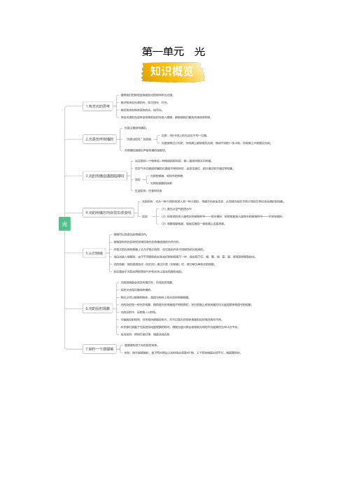 第一单元(专项训练)-2024-2025学年五年级科学上学期期中复习(教科版)