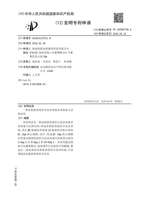 一种水稻愈伤组织分化培养基及其制备方法和应用[发明专利]