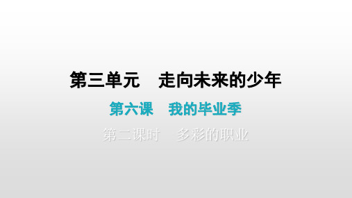 下册第六课多彩的职业课件(最新)部编版道德与法治九年级全一册