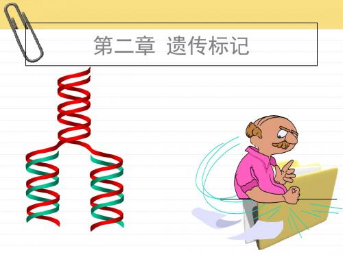 第二章遗传标记1 52页PPT文档