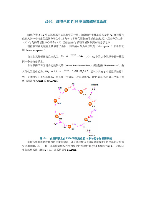 e24-1细胞色素P450单加氧酶解毒系统