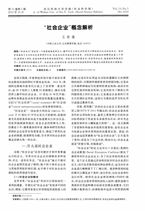 “社会企业”概念解析