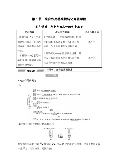 第1课时 光合作用在叶绿体中进行