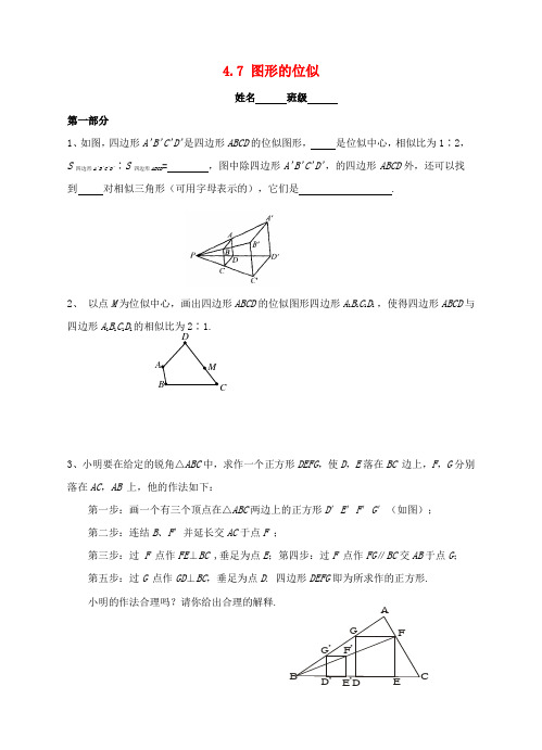 九年级数学上册4.7图形的位似练习新版浙教版