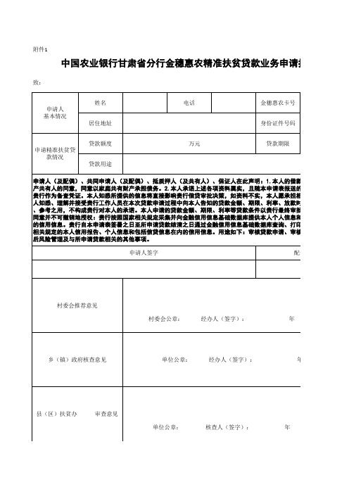 金穗惠农精准扶贫贷款业务申请表