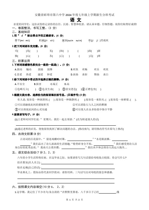 安徽省蚌埠市2024年度七年级上学期新生分班考试语文试卷含参考答案与解析