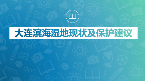 滨海湿地现状及保护建议