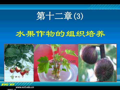 植物组织培养第十二章3几种水果的组织培养