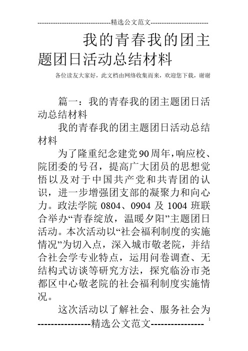 我的青春我的团主题团日活动总结材料_0