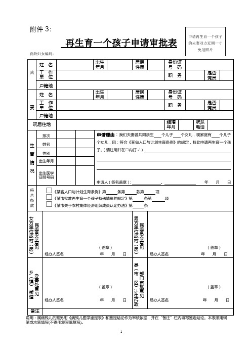 再生育一个孩子申请审批表