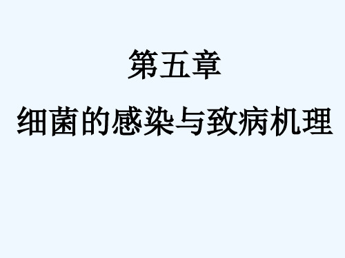 细菌的感染与致病性 PPT