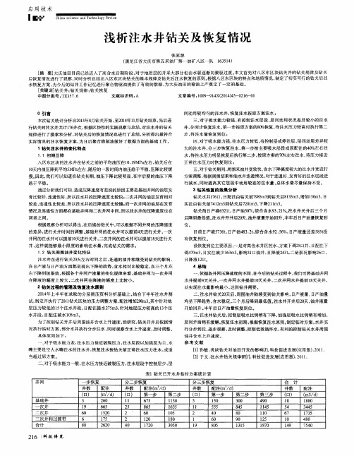 浅析注水井钻关及恢复情况