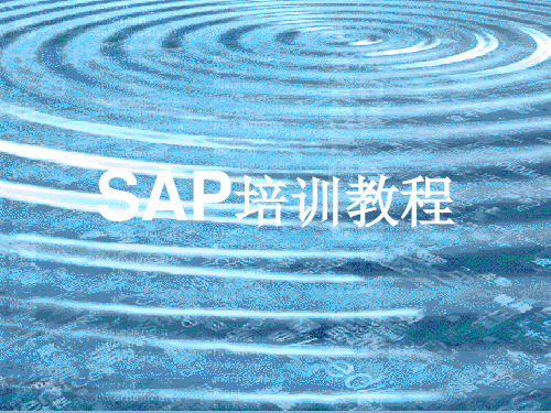 SAP培训教材